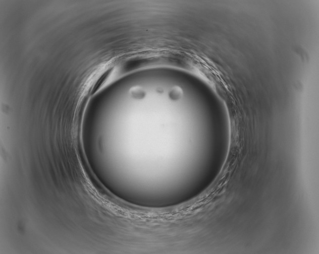 X0000090910003200708061531