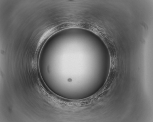 X0000090910004200708061531