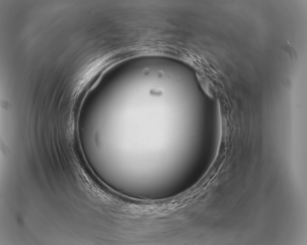 X0000090910005200708061531