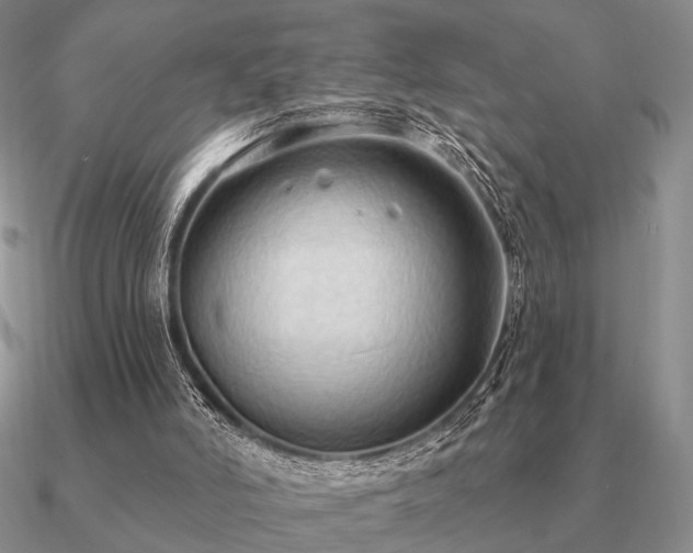 X0000090910006200708061531