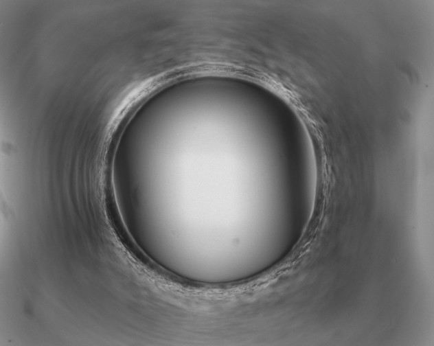 X0000090910007200708061531