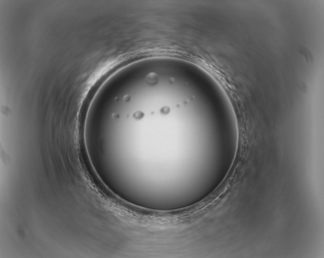 X0000090910008200708061531