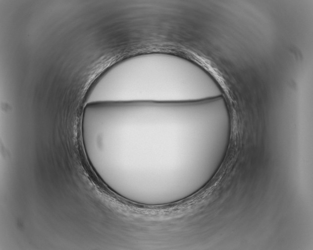 X0000090910010200708061531