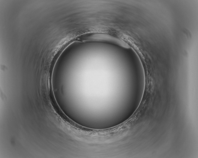 X0000090910011200708061531