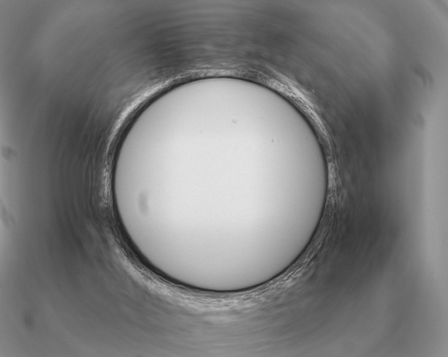 X0000090910012200708061531