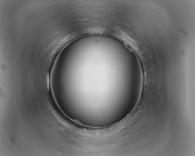 X0000090910013200708061531