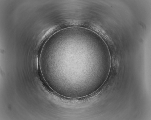 X0000090910014200708061531