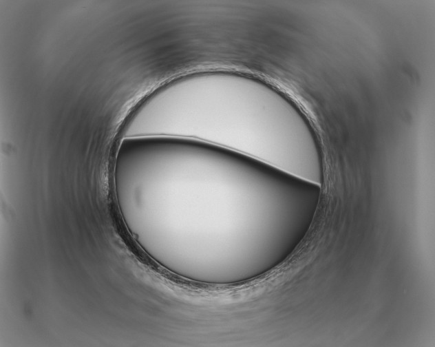 X0000090910015200708061531