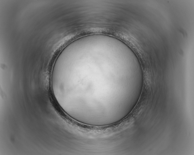 X0000090910016200708061531