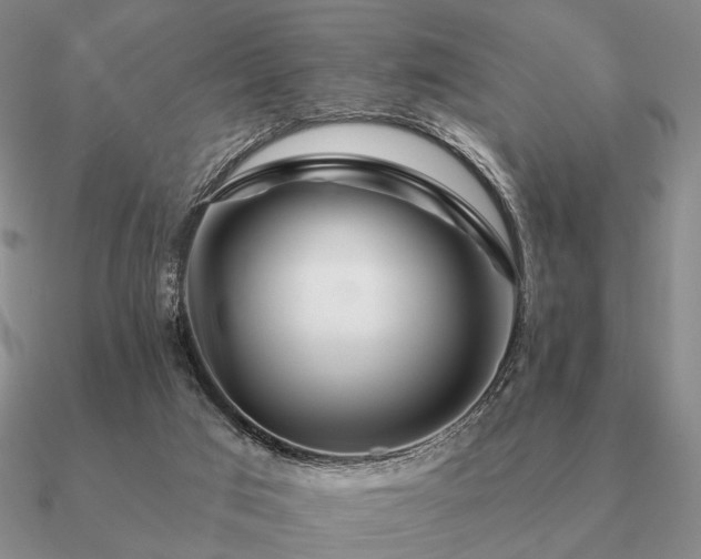 X0000090910017200708061531