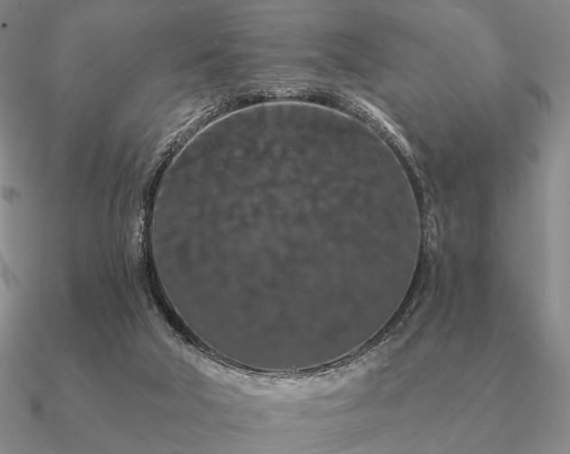 X0000090910018200708061531