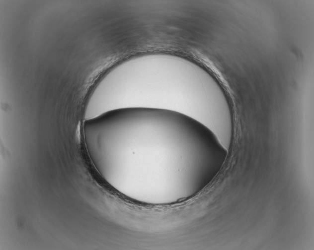 X0000090910019200708061531