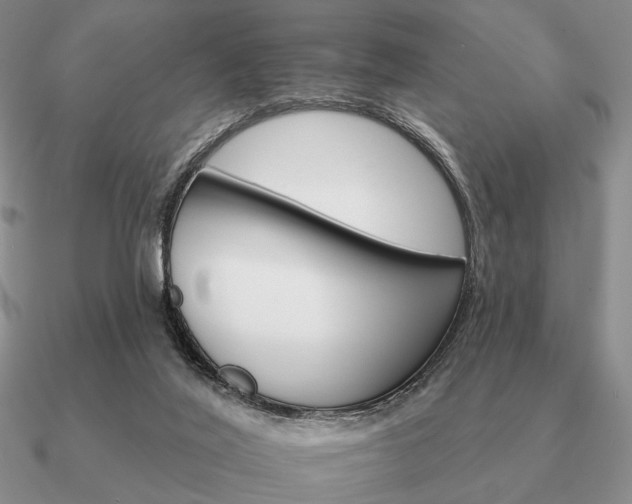 X0000090910020200708061531