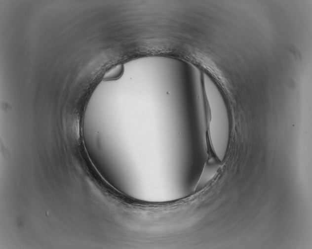 X0000090910021200708061531