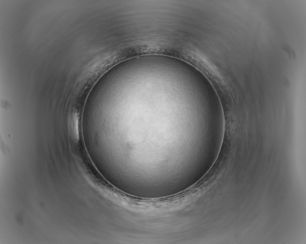 X0000090910022200708061531