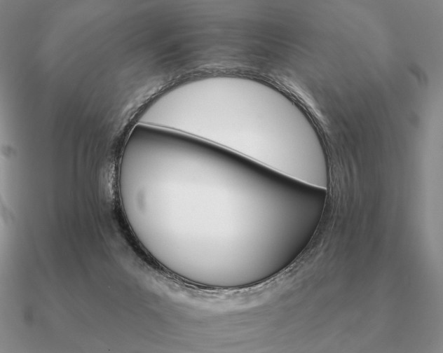 X0000090910023200708061531