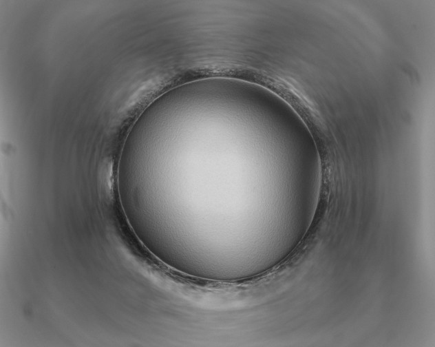 X0000090910024200708061531