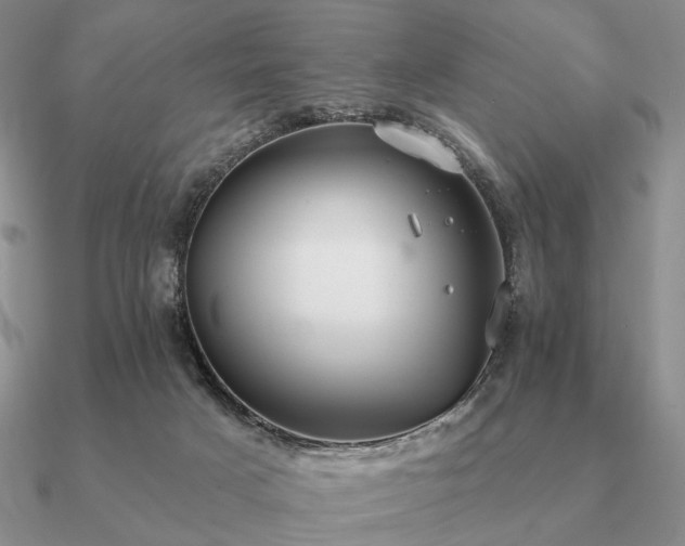 X0000090910025200708061531