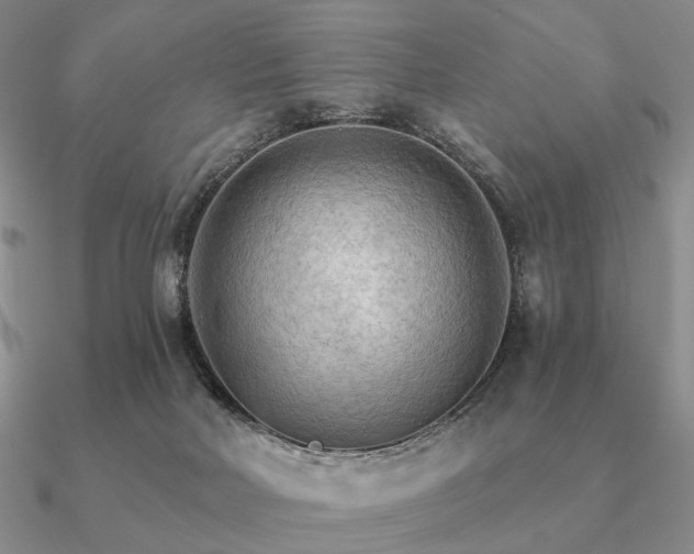 X0000090910026200708061531