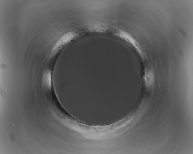 X0000090910027200708061531