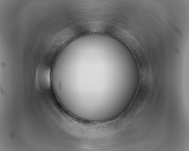 X0000090910028200708061531