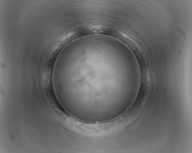 X0000090910030200708061531