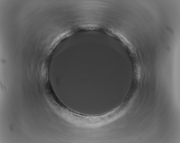 X0000090910031200708061531