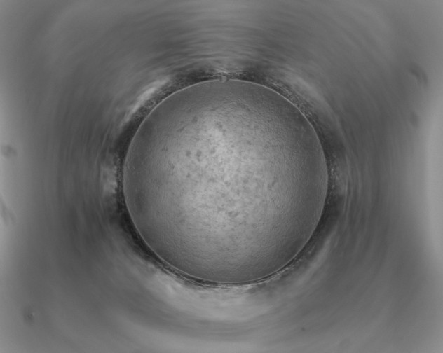 X0000090910032200708061531