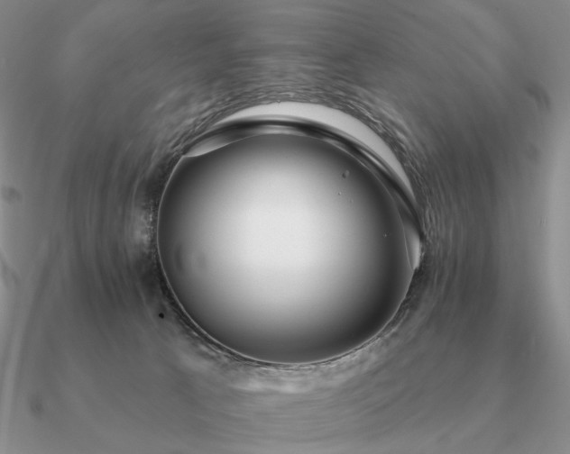 X0000090910033200708061531