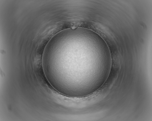 X0000090910034200708061531