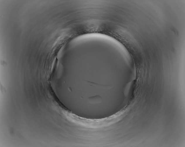 X0000090910035200708061531