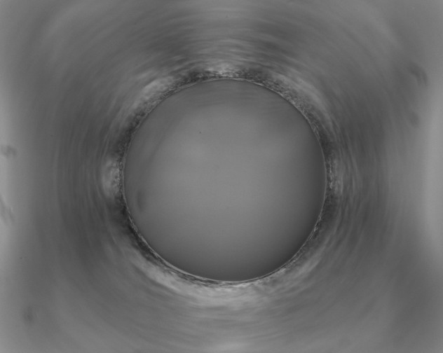 X0000090910036200708061531