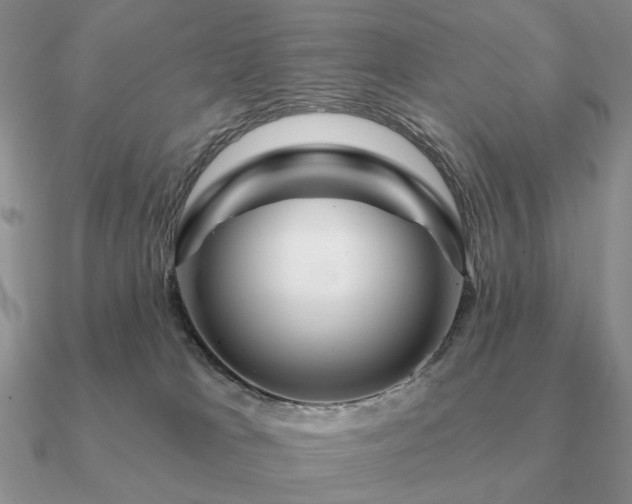 X0000090910037200708061531