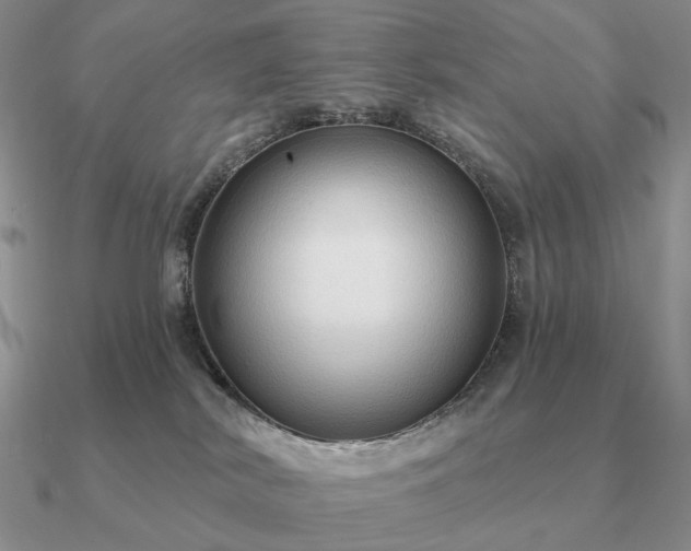 X0000090910038200708061531