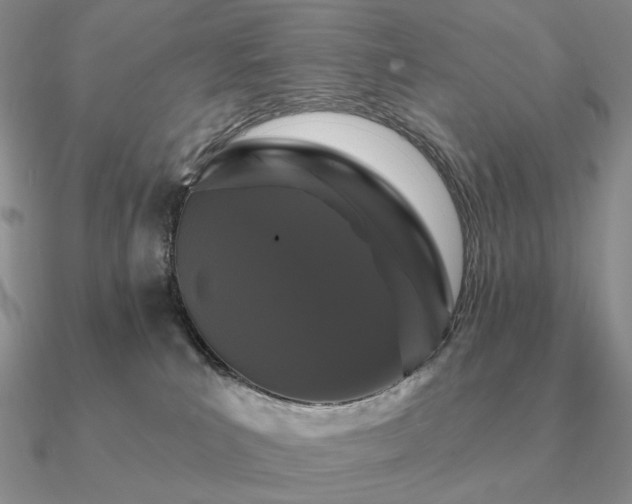 X0000090910039200708061531