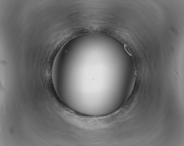 X0000090910040200708061531