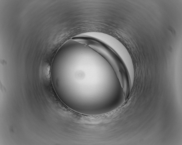 X0000090910041200708061531