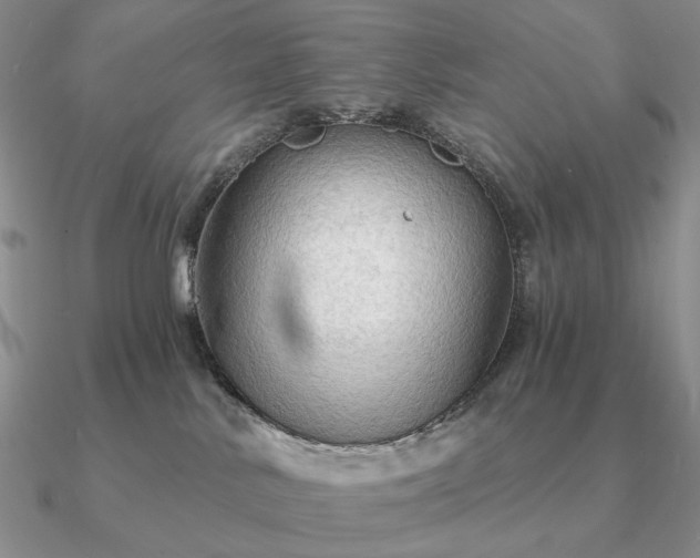 X0000090910042200708061531