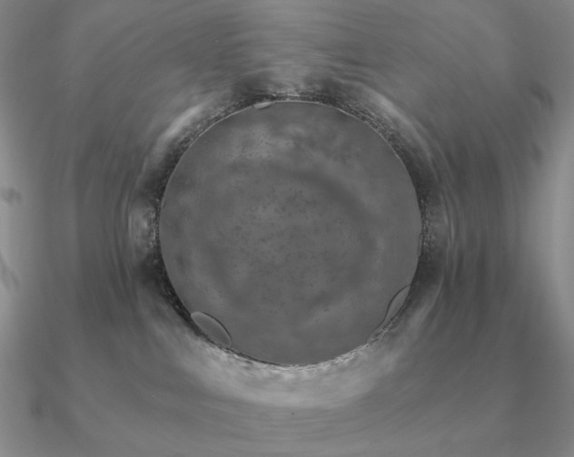 X0000090910043200708061531