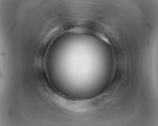 X0000090910044200708061531