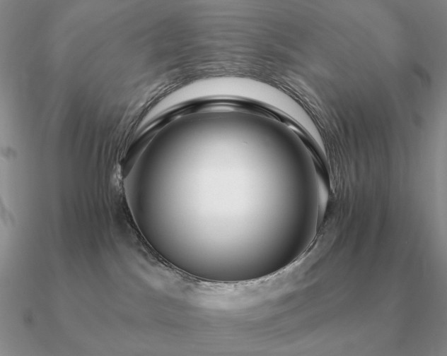 X0000090910045200708061531