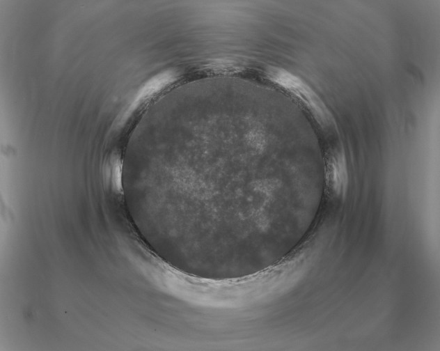 X0000090910046200708061531