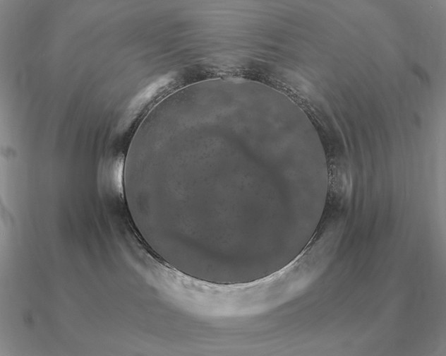 X0000090910047200708061531