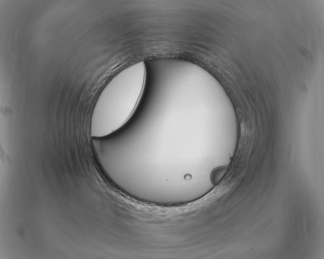 X0000090910048200708061531