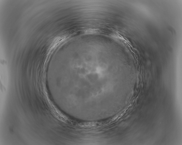 X0000090910049200708061530