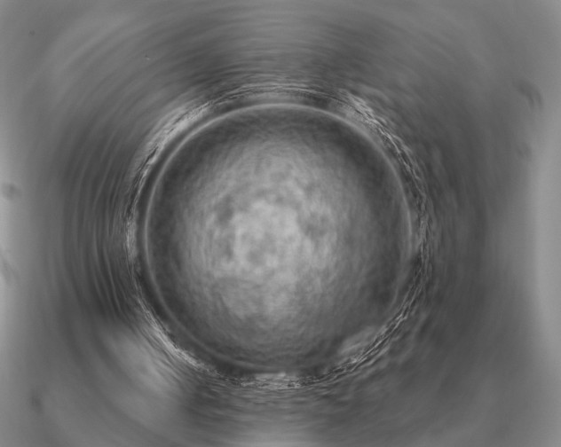 X0000090910050200708061530