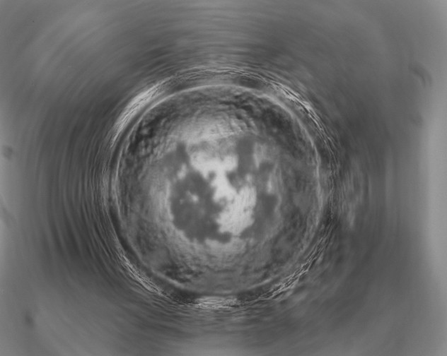 X0000090910051200708061530