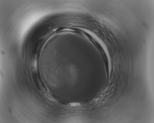 X0000090910052200708061530