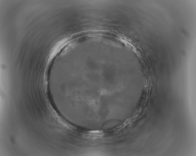 X0000090910053200708061530