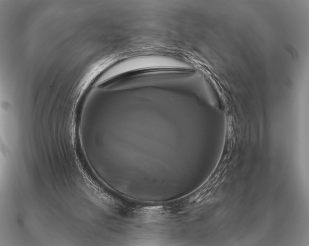 X0000090910054200708061530